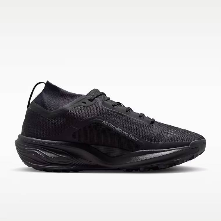 Мъжки маратонки за бягане Nike Pegasus Trail Gore-Tex в черен цвят &ndash; профил